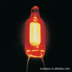 ҴʵNEONLAMP