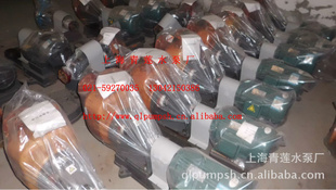 FS65*50-25FSͲı