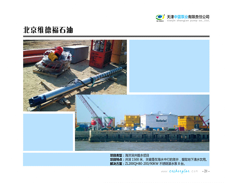 250QH100-168/6Ǳˮ