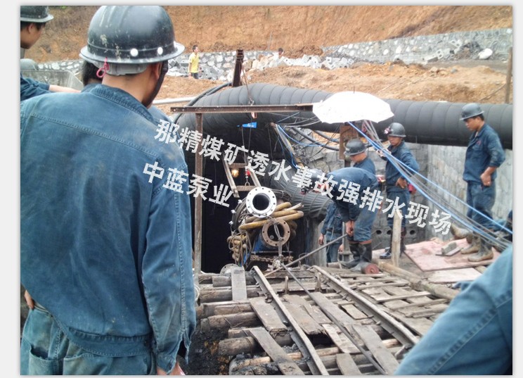 250QH125-200/10Ǳˮ