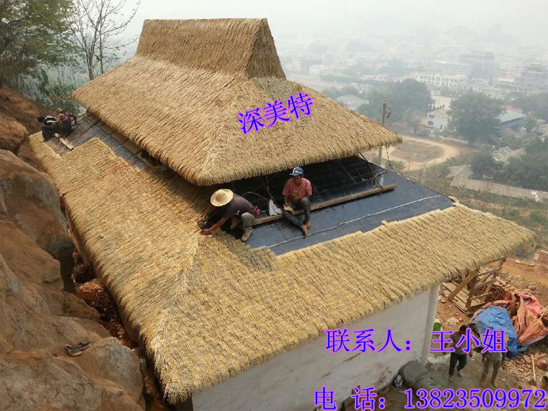 ϾװηéݹӦ-Ͼé-Ͼéֱ