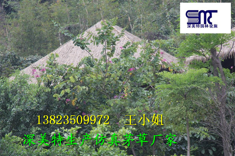 ӦַéͼƬ-Ӧַéݳ