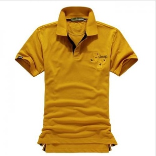 2012¿ļ촿޷ʽpolopoloʿpoloAE950