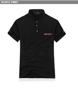 2013¿ʽƤPOLO泱t