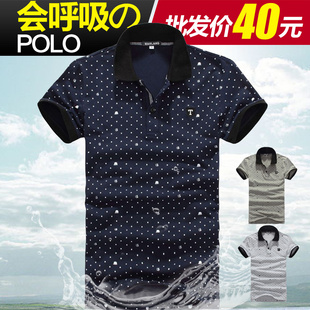 2013ļ¿ʿǵ䷭POLOtд