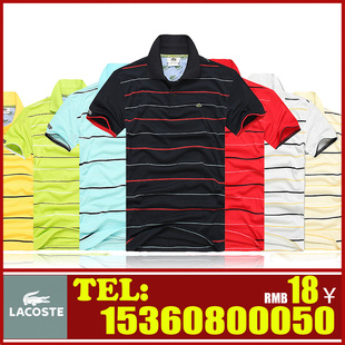 2012¿ʽlacoste¿ʽpoloT