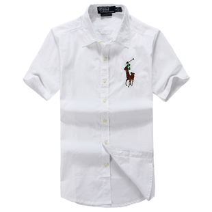 ֱ2013޳polo