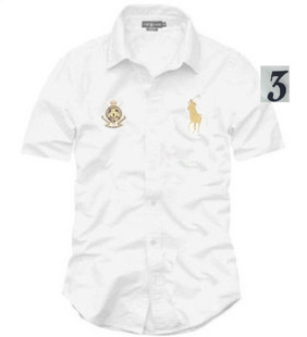 ֱ2011ʿ޳װpolo