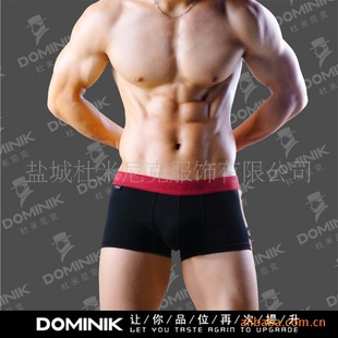 ʿDOMINIKʽƽſOPB1018