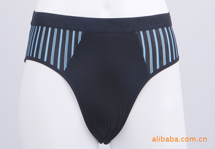 2011¿P-8176ʿά͸ڿ