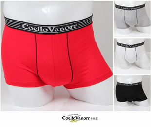 CoelloVanorrάľᱡU͹ƽʿڿ