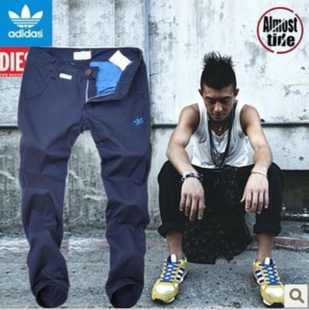 2013Ʒʽ¹ϣʾпҶݳ