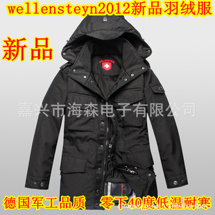 2012ԭ¹WellensteynůƷӺг޷