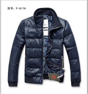 2011¿̿ʿ޷F817