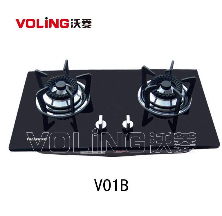 VOLINGV01BڸֻӺȼ