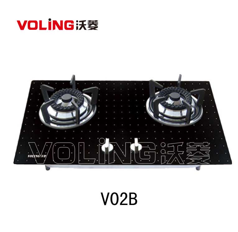VOLINGV02Bӡֻȼ