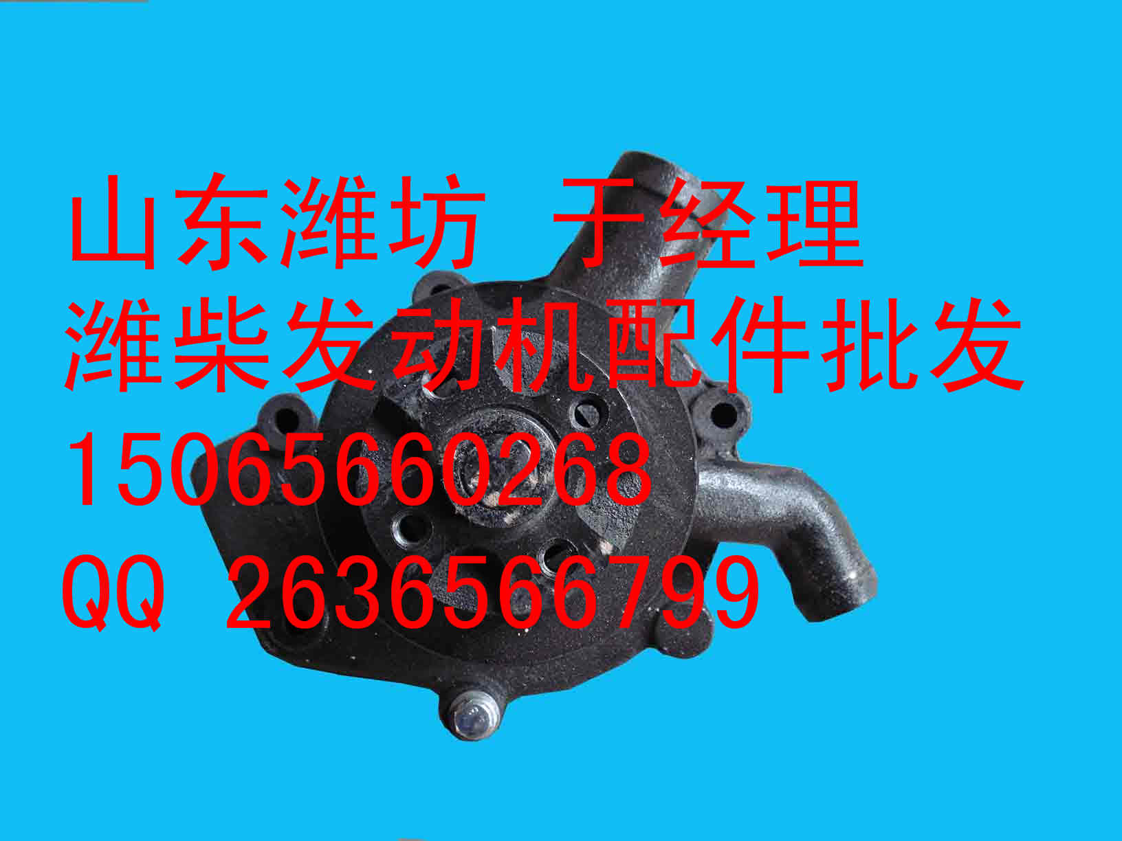 Ϋ6113ԭ