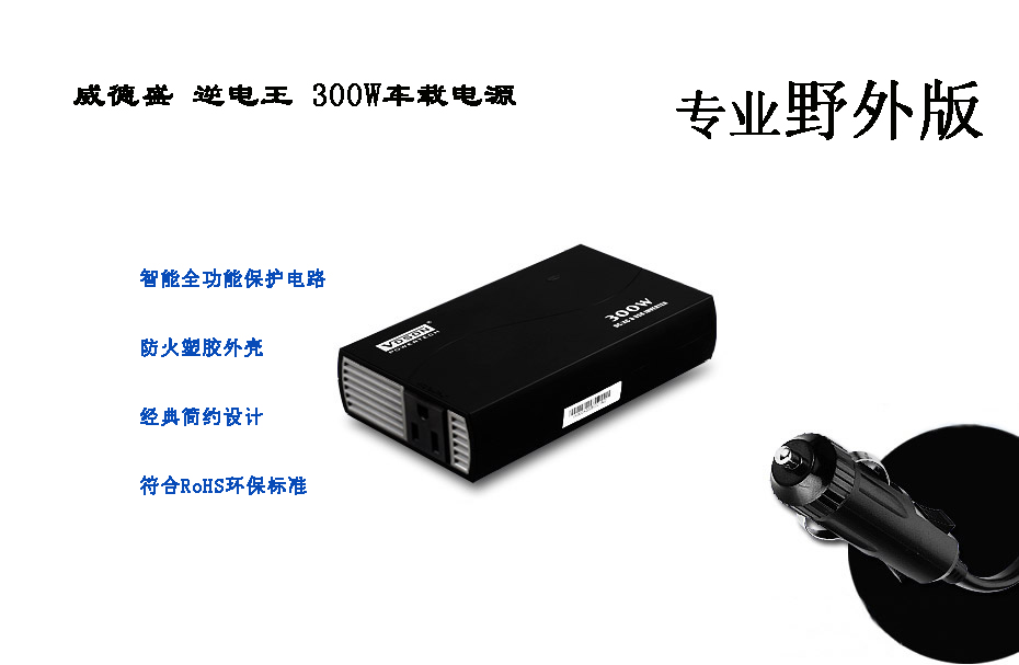ʢ300W