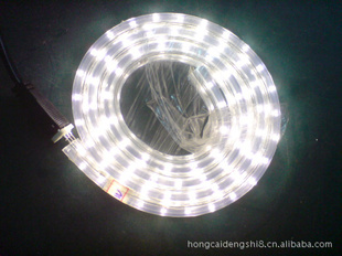 ʳֱLEDʺ---׹