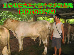 ţӱţľţ