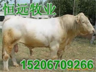 ţֳǰ¿ֳ³ţֳƷ