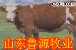 ĵţ³ţ۸ʼţ۸