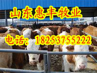 ʮţСţеĺţǮ