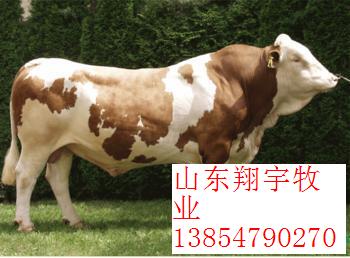 ţǺõֳƷṩ