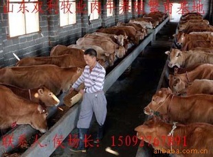ũ崴¸ֳţǲ·ţƿʸ