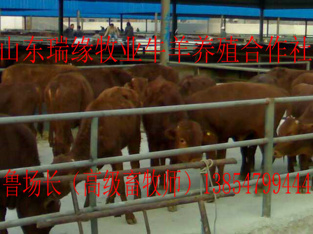 Сţ,ţ۸Ǯһ