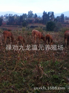 ϵԪֳţ300-500