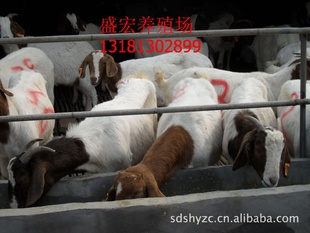 ũ崴¸첨ɽɽٶȿ췱ֳ