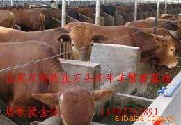 ũ崴¸óڼҸϿţţʳɱ