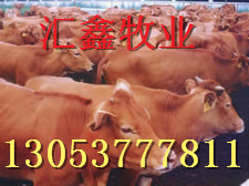μСţ