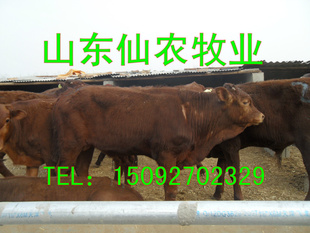 ţƿӦǿгǱ޴ţ۸