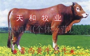 ţֳɱţֳţ۸ţֳֳ