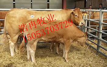 ɽţ¼۸ɽţ¼۸ɽСβ۸