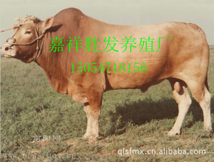 ףһ³ţţ۸ݣ