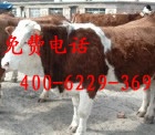 㽭ţ120ۻӭǰѡ
