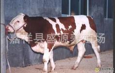 200---500ţǮֳСţǰչ