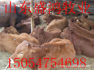 ³ţţۺɽʢ