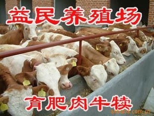 ţǮһţǮһţ۸ţֳ