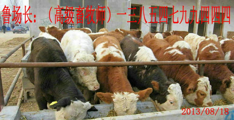 ţ,ţ,ţ,ţ,ţ,ţֳ