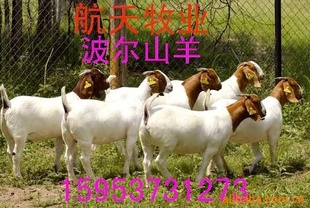 ֳĿũֳֳ޷Ŀ
