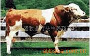 300-500ţţţ(ͼ)