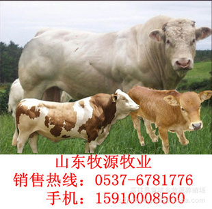 ţţ³ţɽԴ