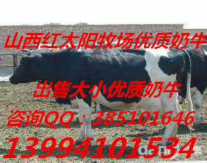 ɽţţ˹̹