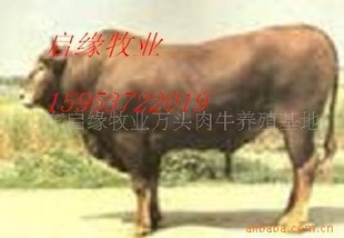 ũ崴óֳţܷƺƷֺ׬Ǯ