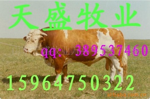 ţֳţţ(ͼ)