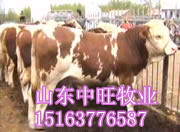 ţ۸2012ţ۸